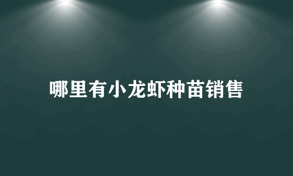 哪里有小龙虾种苗销售