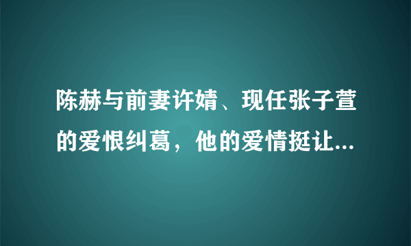 陈赫与前妻许婧、现任张子萱的爱恨纠葛，他的爱情挺让人看不懂的