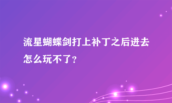 流星蝴蝶剑打上补丁之后进去怎么玩不了？