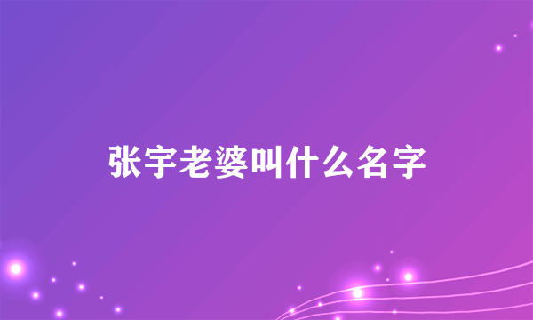 张宇老婆叫什么名字