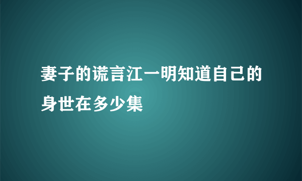 妻子的谎言江一明知道自己的身世在多少集