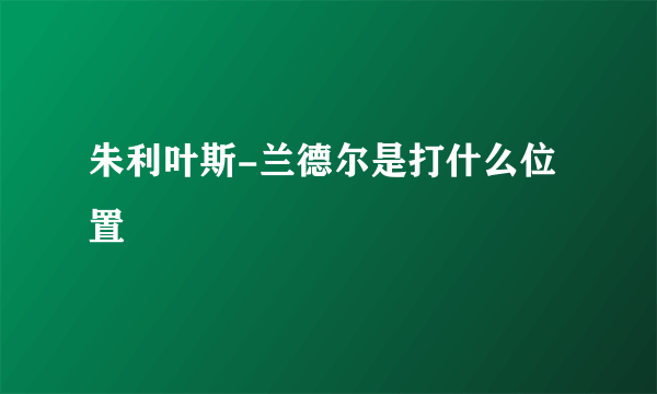 朱利叶斯-兰德尔是打什么位置