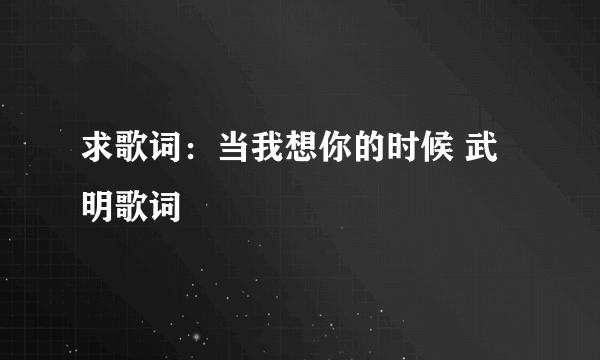 求歌词：当我想你的时候 武明歌词