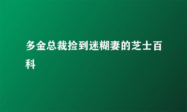 多金总裁捡到迷糊妻的芝士百科