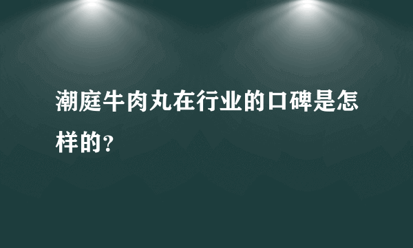 潮庭牛肉丸在行业的口碑是怎样的？