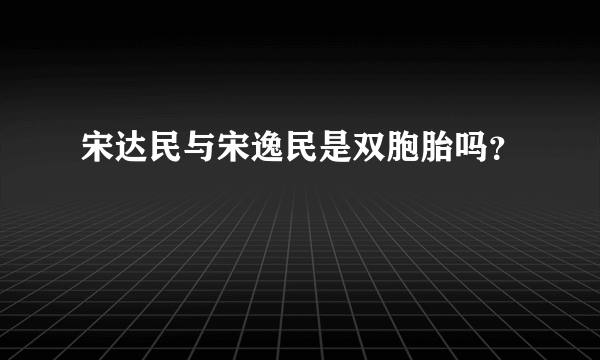 宋达民与宋逸民是双胞胎吗？