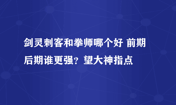 剑灵刺客和拳师哪个好 前期后期谁更强？望大神指点