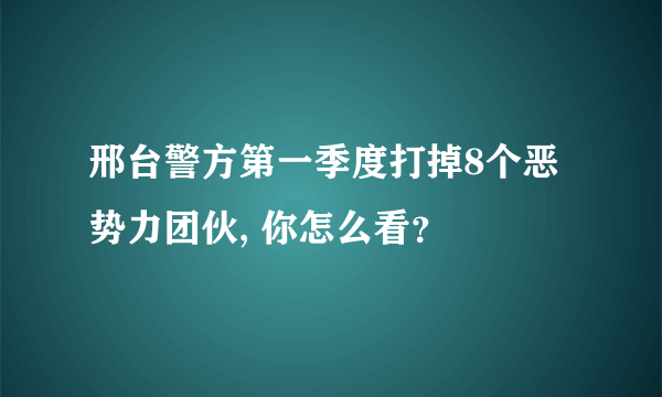 邢台警方第一季度打掉8个恶势力团伙, 你怎么看？