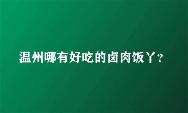 温州哪有好吃的卤肉饭丫？