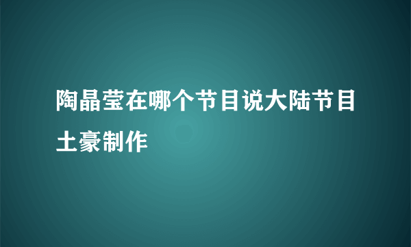 陶晶莹在哪个节目说大陆节目土豪制作