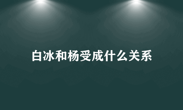 白冰和杨受成什么关系