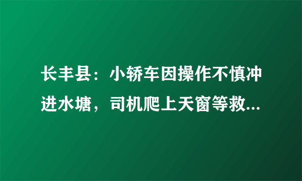 长丰县：小轿车因操作不慎冲进水塘，司机爬上天窗等救援, 你怎么看？