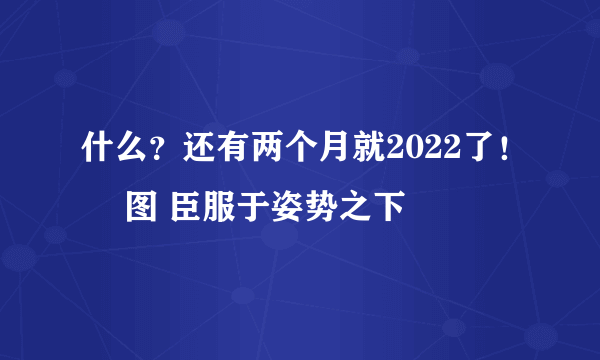 什么？还有两个月就2022了！ 囧图 臣服于姿势之下