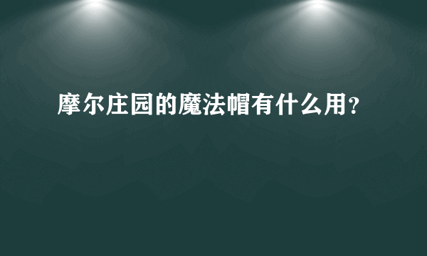 摩尔庄园的魔法帽有什么用？