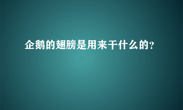 企鹅的翅膀是用来干什么的？