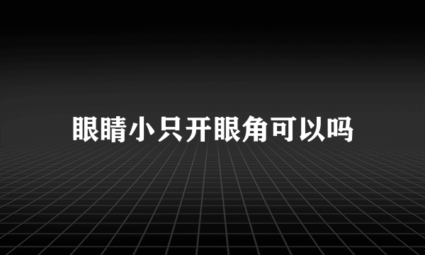 眼睛小只开眼角可以吗