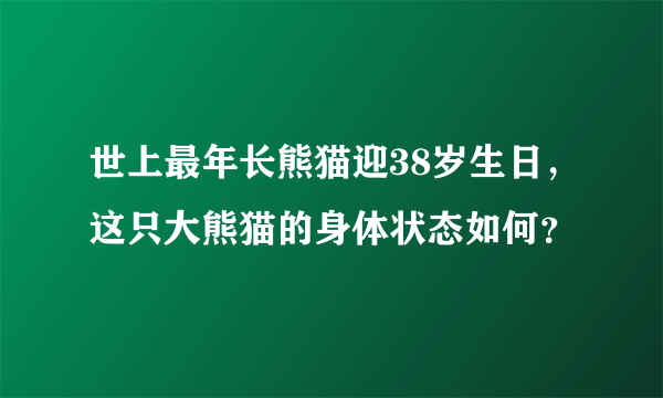 世上最年长熊猫迎38岁生日，这只大熊猫的身体状态如何？