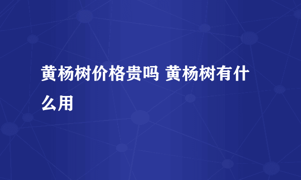 黄杨树价格贵吗 黄杨树有什么用