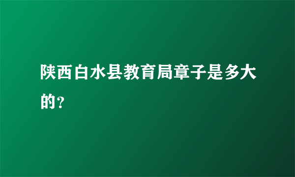 陕西白水县教育局章子是多大的？