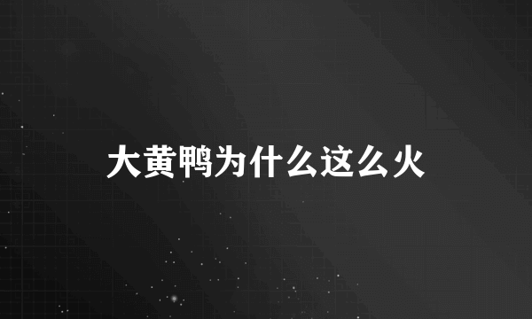 大黄鸭为什么这么火