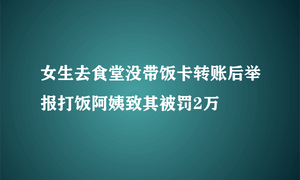 女生去食堂没带饭卡转账后举报打饭阿姨致其被罚2万