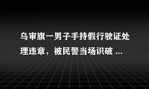 乌审旗一男子手持假行驶证处理违章，被民警当场识破 , 你怎么看？