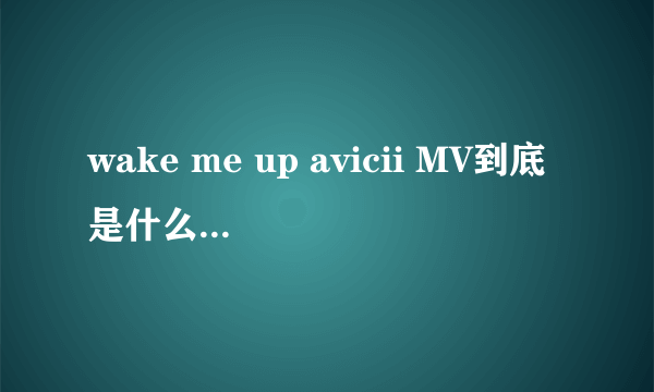 wake me up avicii MV到底是什么意思？？？？急急急