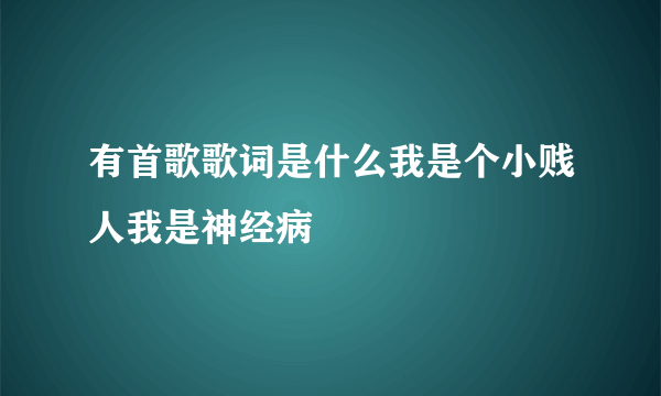 有首歌歌词是什么我是个小贱人我是神经病