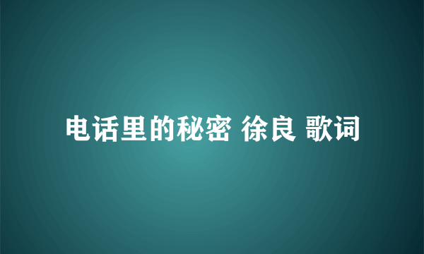 电话里的秘密 徐良 歌词