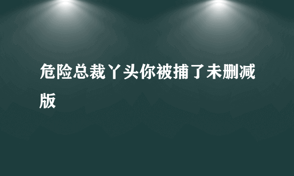 危险总裁丫头你被捕了未删减版