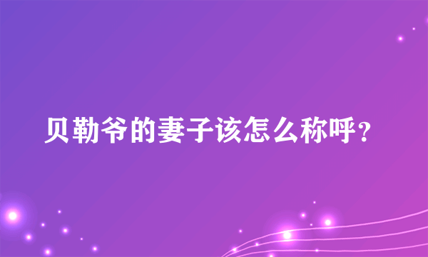 贝勒爷的妻子该怎么称呼？