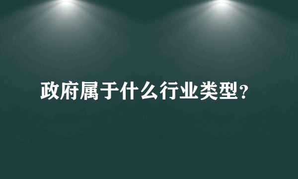 政府属于什么行业类型？