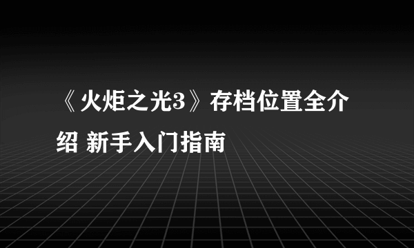 《火炬之光3》存档位置全介绍 新手入门指南