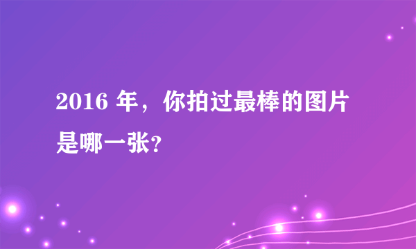 2016 年，你拍过最棒的图片是哪一张？