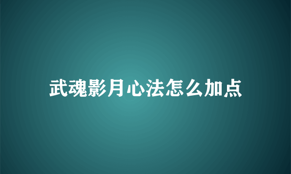 武魂影月心法怎么加点