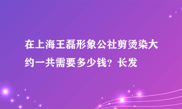 在上海王磊形象公社剪烫染大约一共需要多少钱？长发