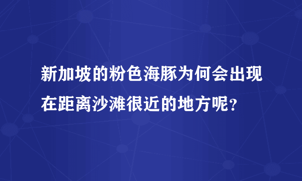 新加坡的粉色海豚为何会出现在距离沙滩很近的地方呢？