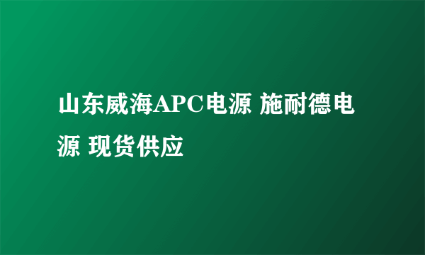 山东威海APC电源 施耐德电源 现货供应