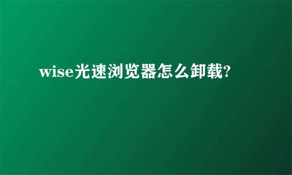 wise光速浏览器怎么卸载?