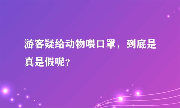 游客疑给动物喂口罩，到底是真是假呢？