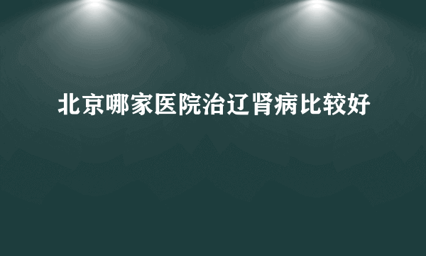 北京哪家医院治辽肾病比较好