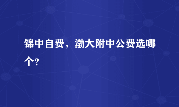 锦中自费，渤大附中公费选哪个？