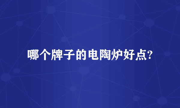 哪个牌子的电陶炉好点?