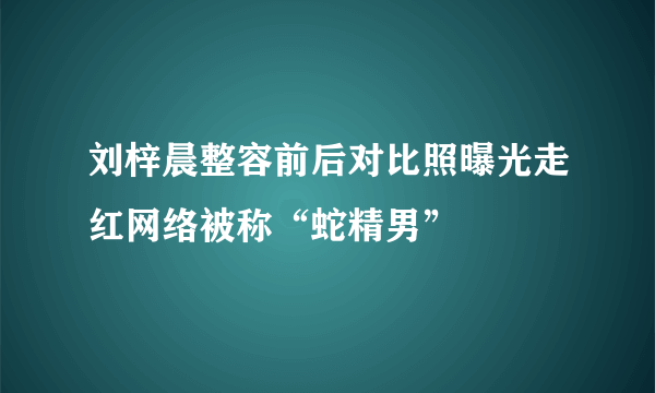 刘梓晨整容前后对比照曝光走红网络被称“蛇精男”