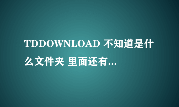 TDDOWNLOAD 不知道是什么文件夹 里面还有一个超大文件，可以删除吗？？