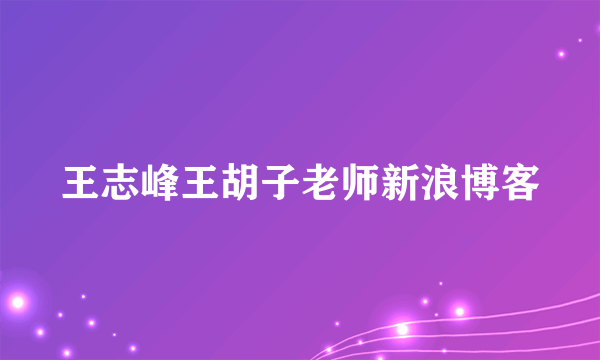 王志峰王胡子老师新浪博客