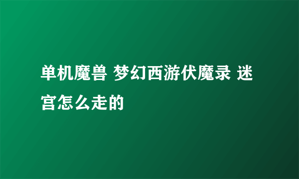 单机魔兽 梦幻西游伏魔录 迷宫怎么走的