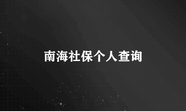 南海社保个人查询