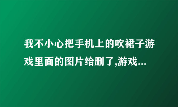 我不小心把手机上的吹裙子游戏里面的图片给删了,游戏不能玩了，怎么办,谁分给我一个啊？