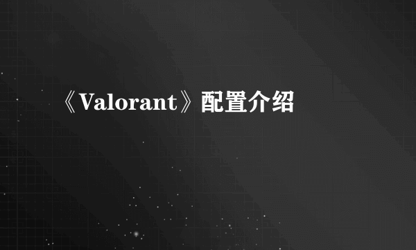 《Valorant》配置介绍